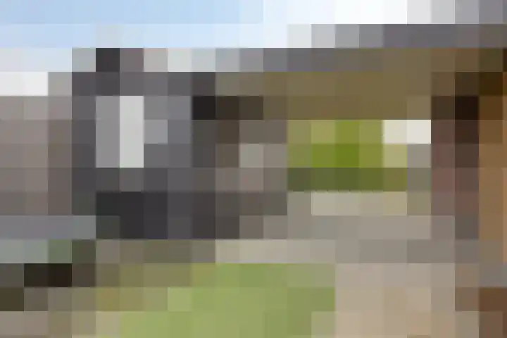 Hopland 30 a Kerkwijk thumbnail 30