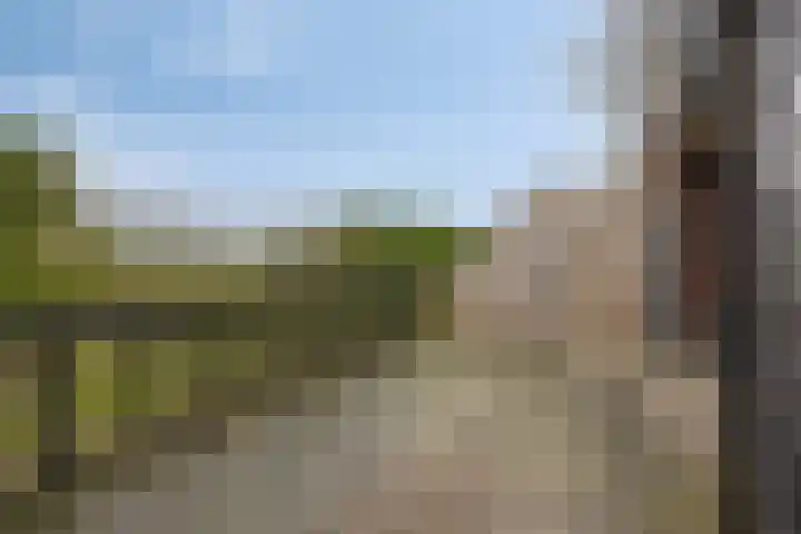 Hopland 30 a Kerkwijk thumbnail 31