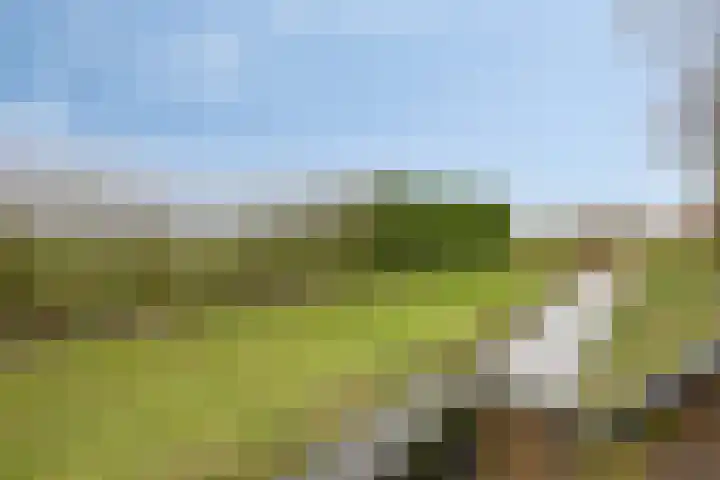 Hopland 30 a Kerkwijk thumbnail 32
