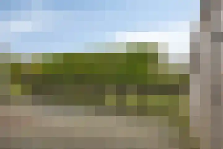 Hopland 30 a Kerkwijk thumbnail 33