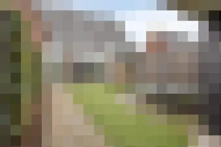 Hopland 30 a Kerkwijk thumbnail 36