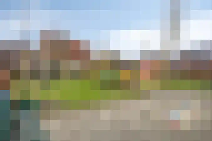 Hopland 30 a Kerkwijk thumbnail 38