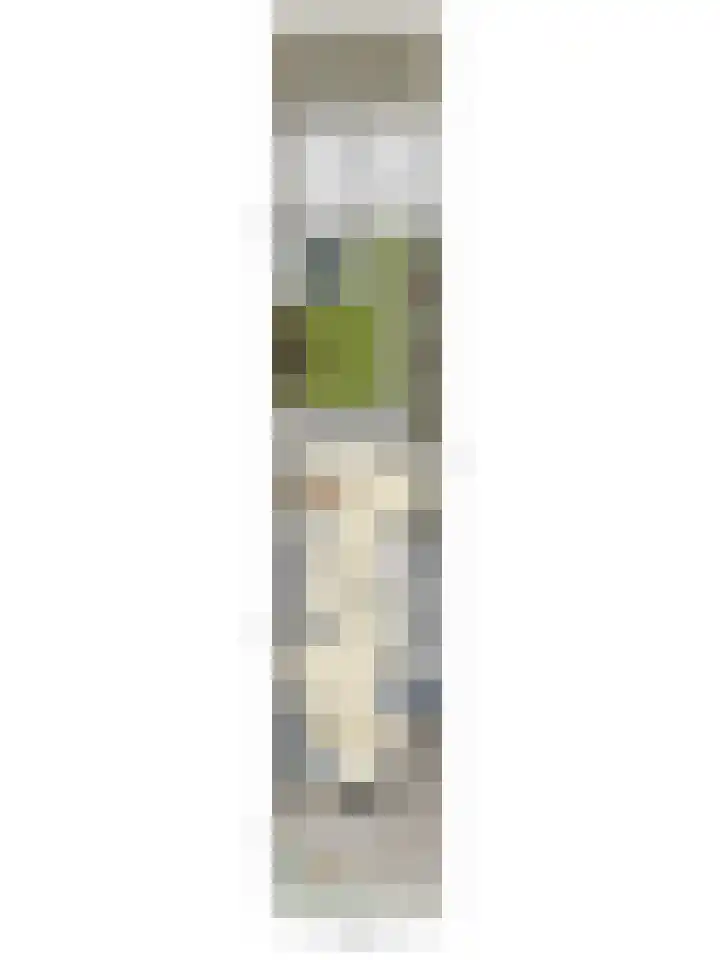 Hopland 30 a Kerkwijk thumbnail 40