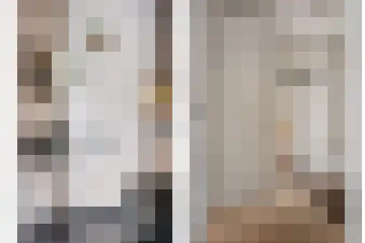 Hopland 30 a Kerkwijk thumbnail 7