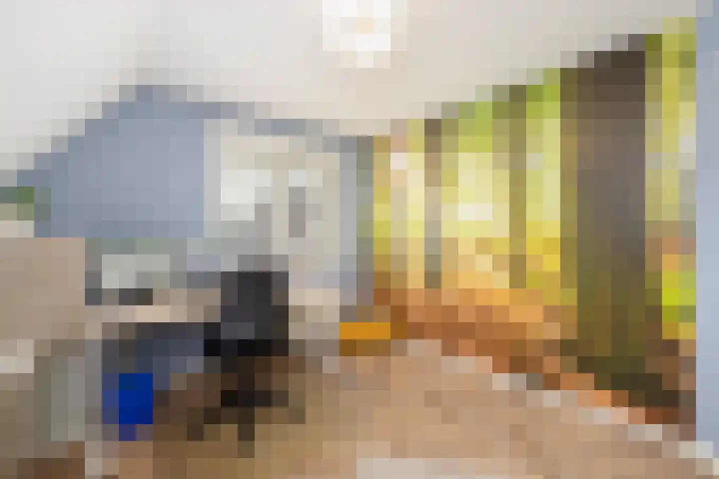 Hopland 42 Kerkwijk thumbnail 17