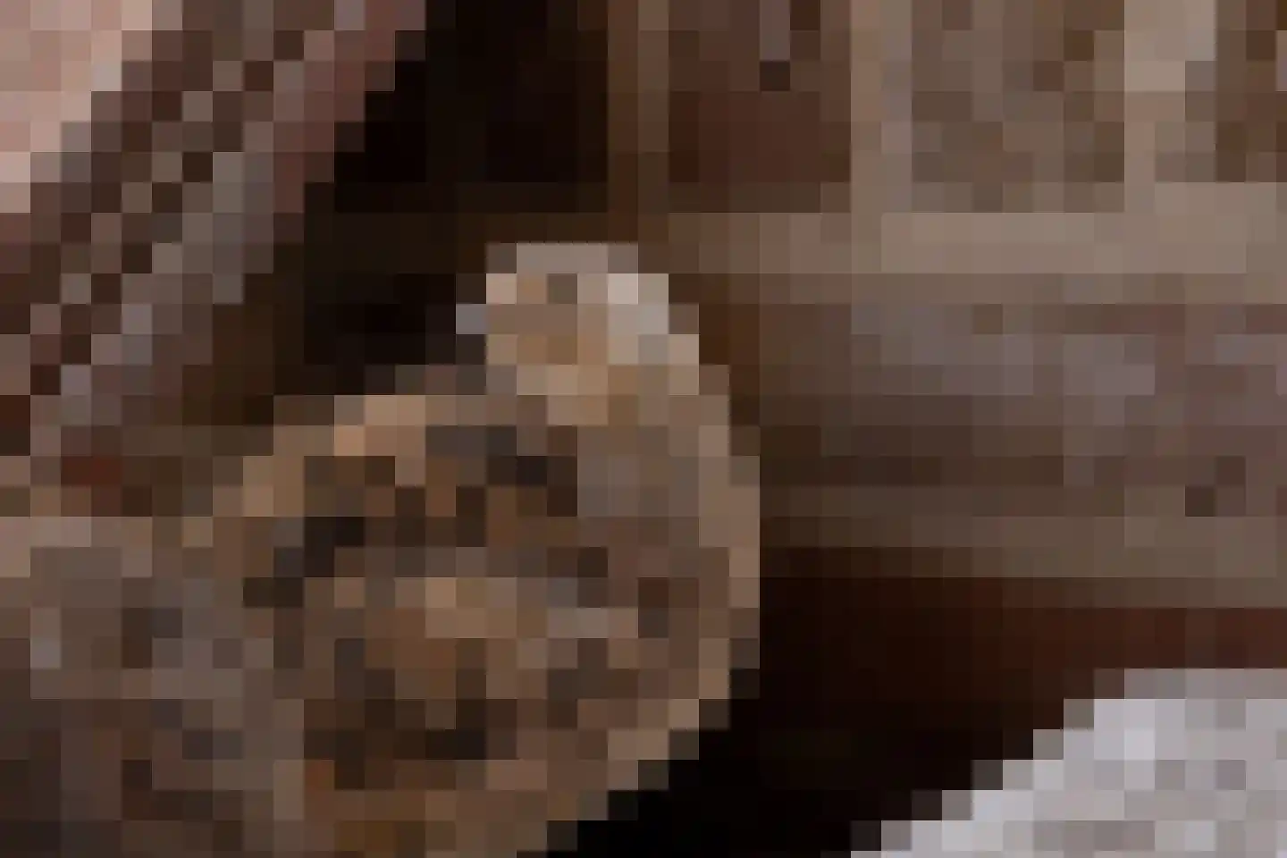 Hopland 42 Kerkwijk thumbnail 40