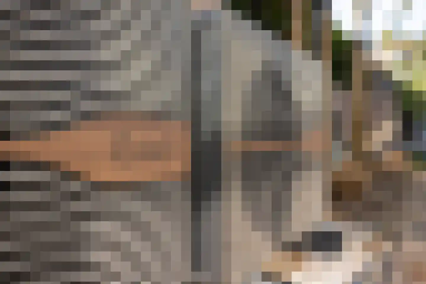Hopland 42 Kerkwijk thumbnail 42