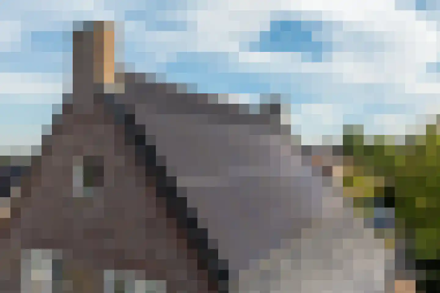Hopland 42 Kerkwijk thumbnail 45