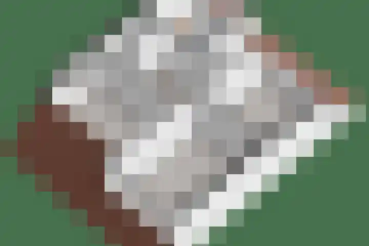 Logo Hopma Makelaardij