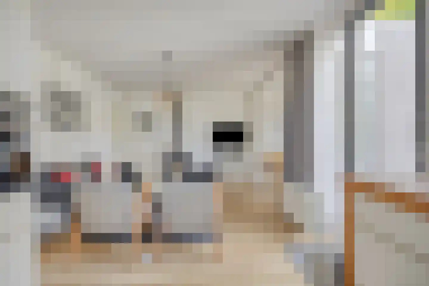 Hopman de Rijklaan 1 Vrouwenpolder thumbnail 12