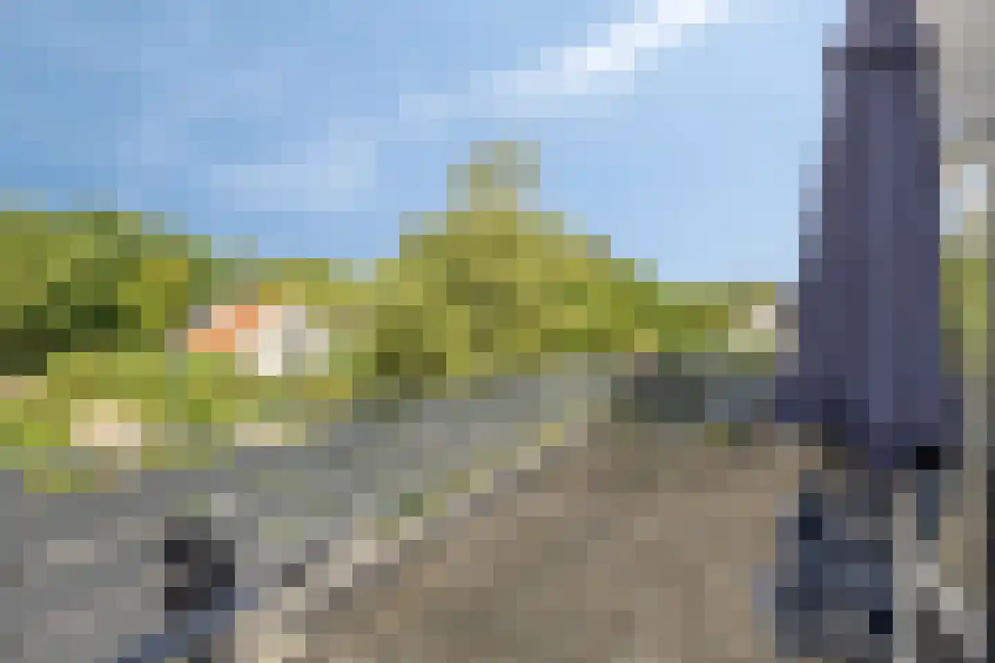 Hopman de Rijklaan 1 Vrouwenpolder thumbnail 21