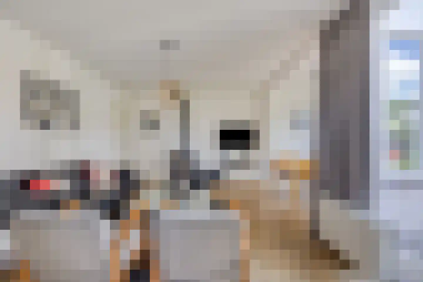 Hopman de Rijklaan 1 Vrouwenpolder thumbnail 8