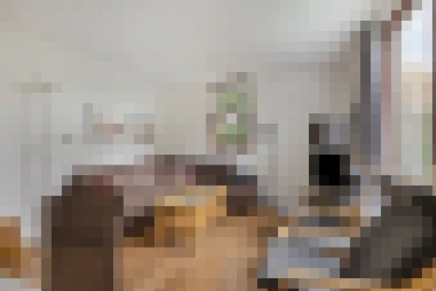 Hopman de Rijklaan 28 Vrouwenpolder thumbnail 11