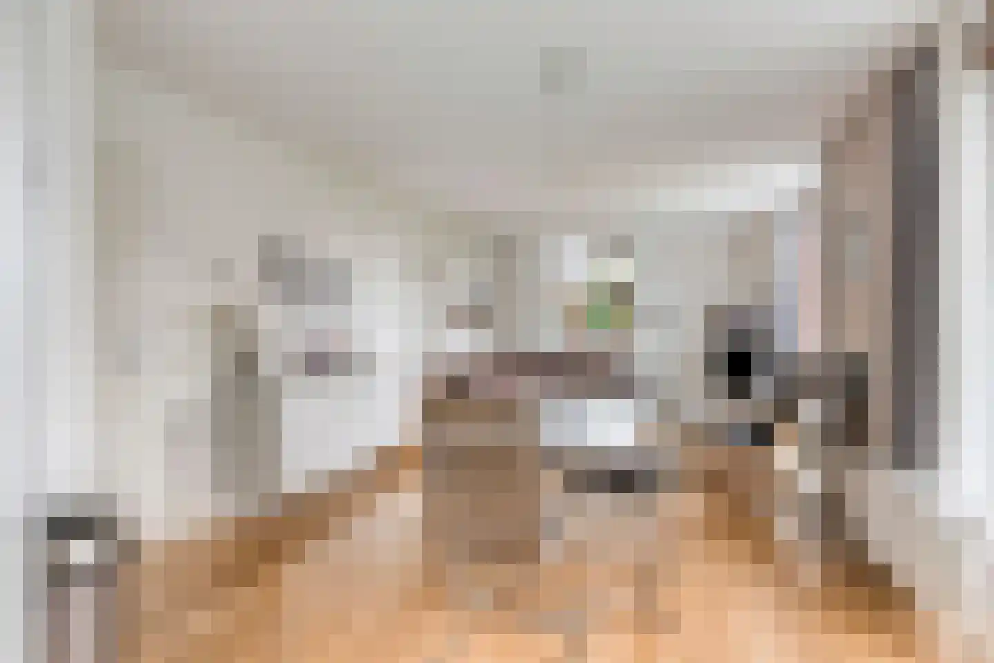 Hopman de Rijklaan 28 Vrouwenpolder thumbnail 12