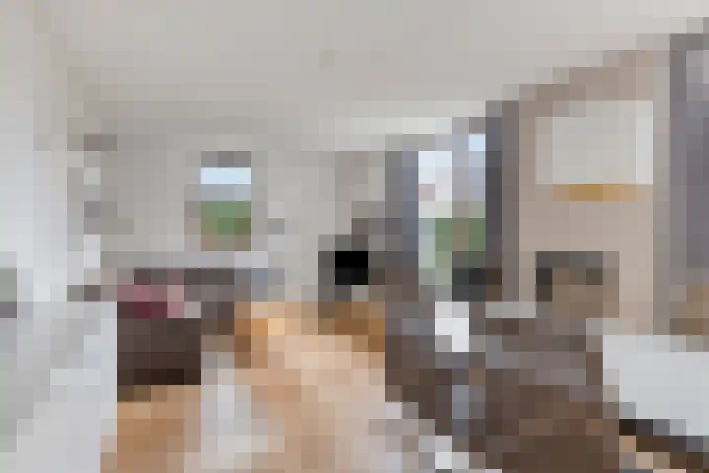 Hopman de Rijklaan 28 Vrouwenpolder thumbnail 13