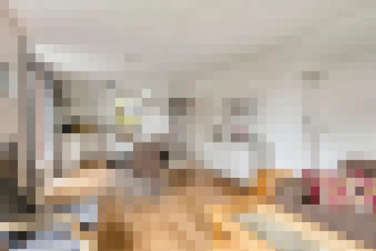 Hopman de Rijklaan 28 Vrouwenpolder thumbnail 14