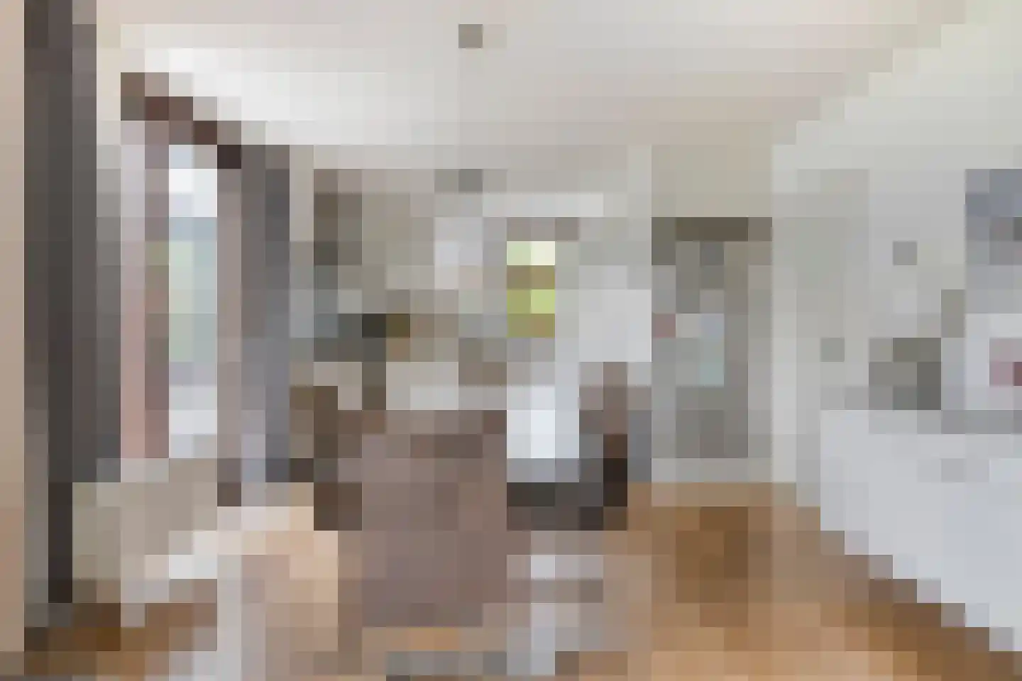 Hopman de Rijklaan 28 Vrouwenpolder thumbnail 15
