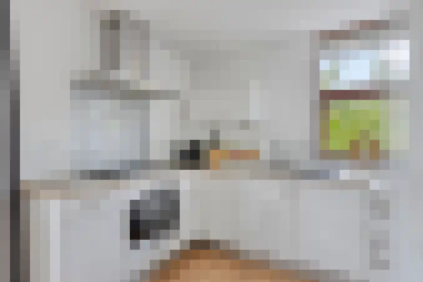 Hopman de Rijklaan 28 Vrouwenpolder thumbnail 16