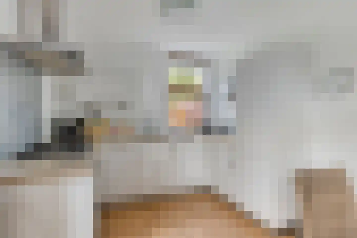 Hopman de Rijklaan 28 Vrouwenpolder thumbnail 17