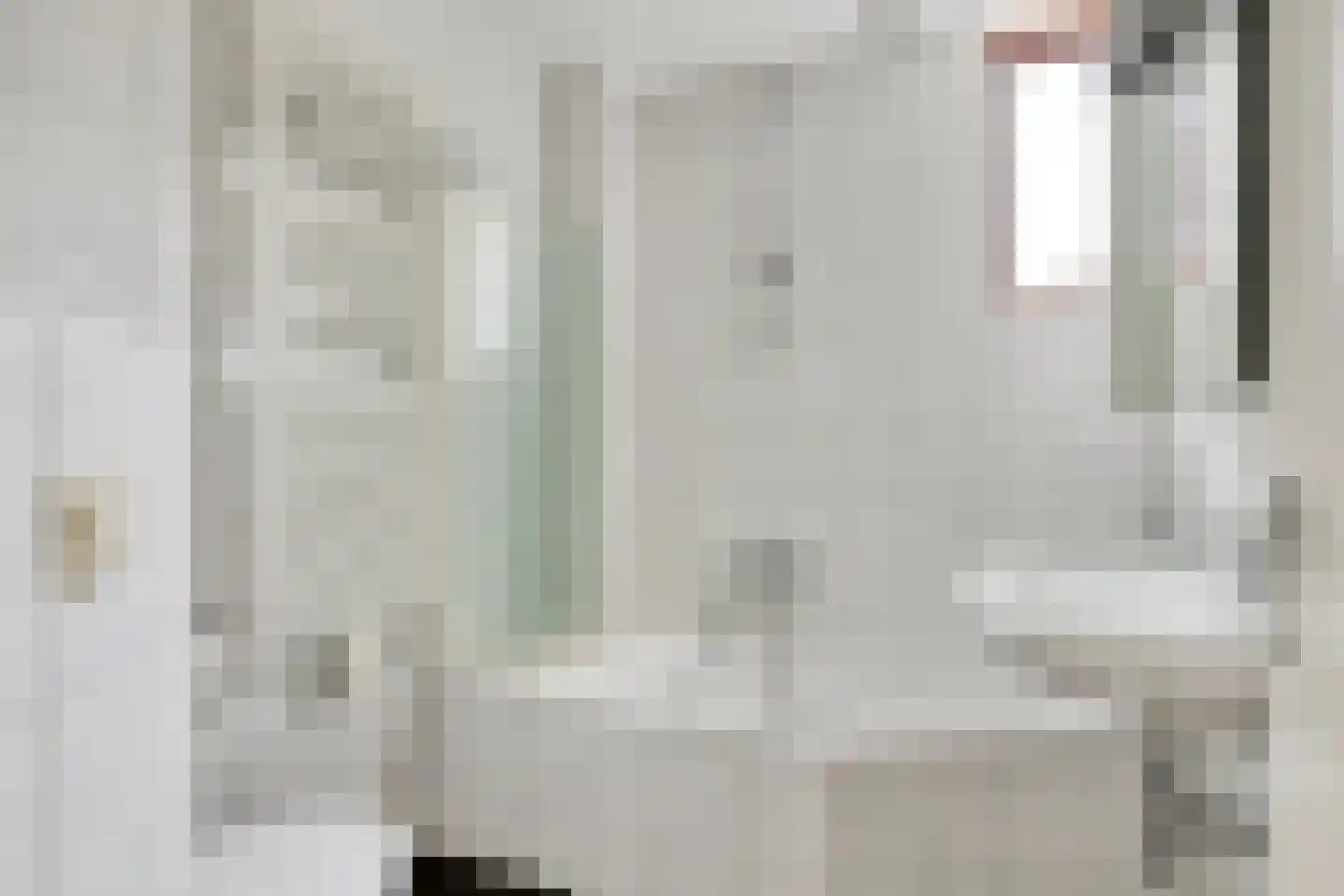 Hopman de Rijklaan 28 Vrouwenpolder thumbnail 22