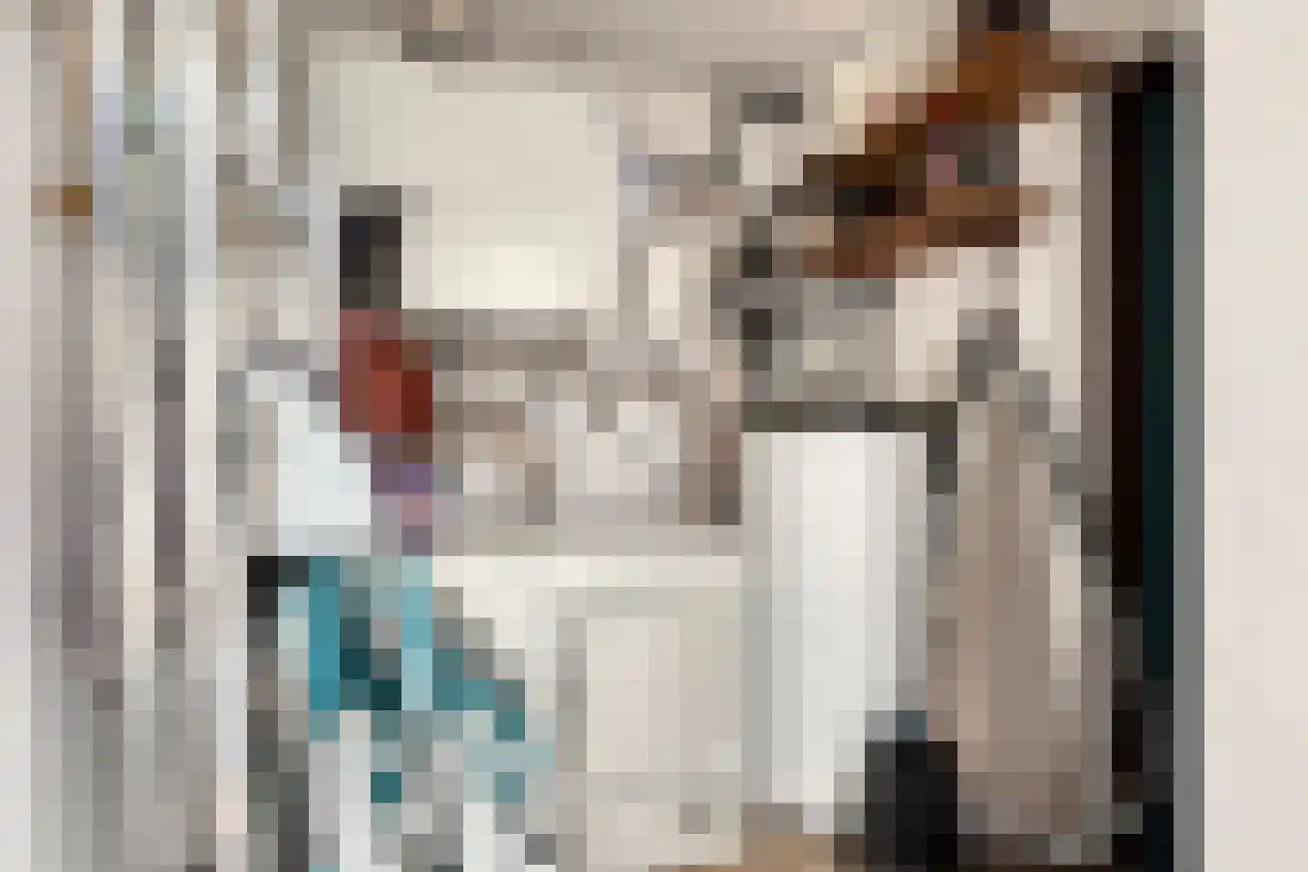 Hopman de Rijklaan 28 Vrouwenpolder thumbnail 23