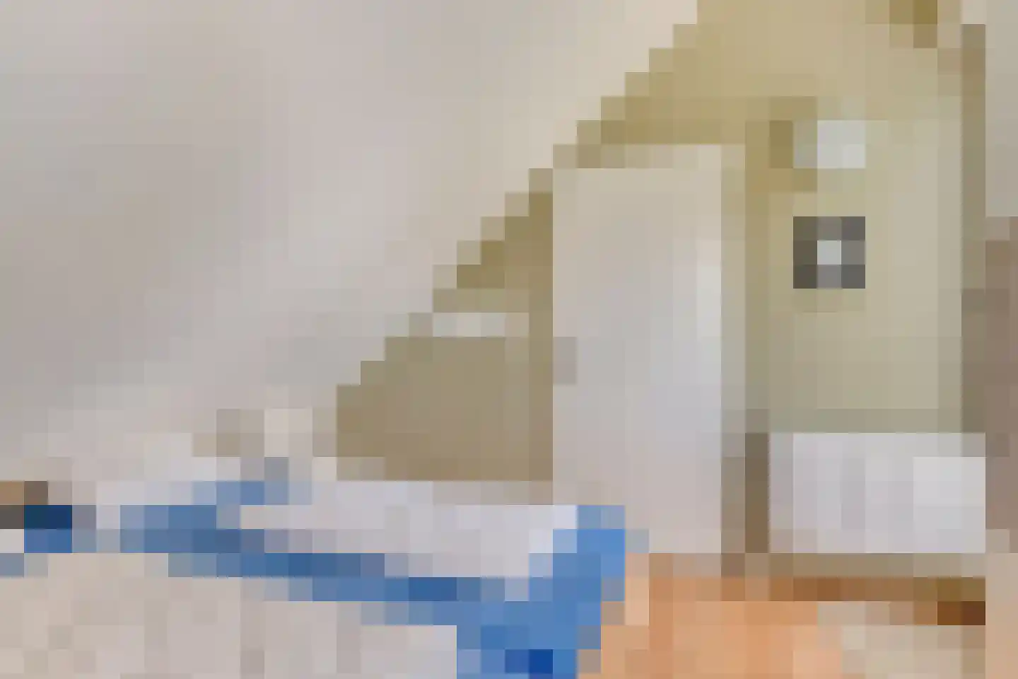 Hopman de Rijklaan 28 Vrouwenpolder thumbnail 25