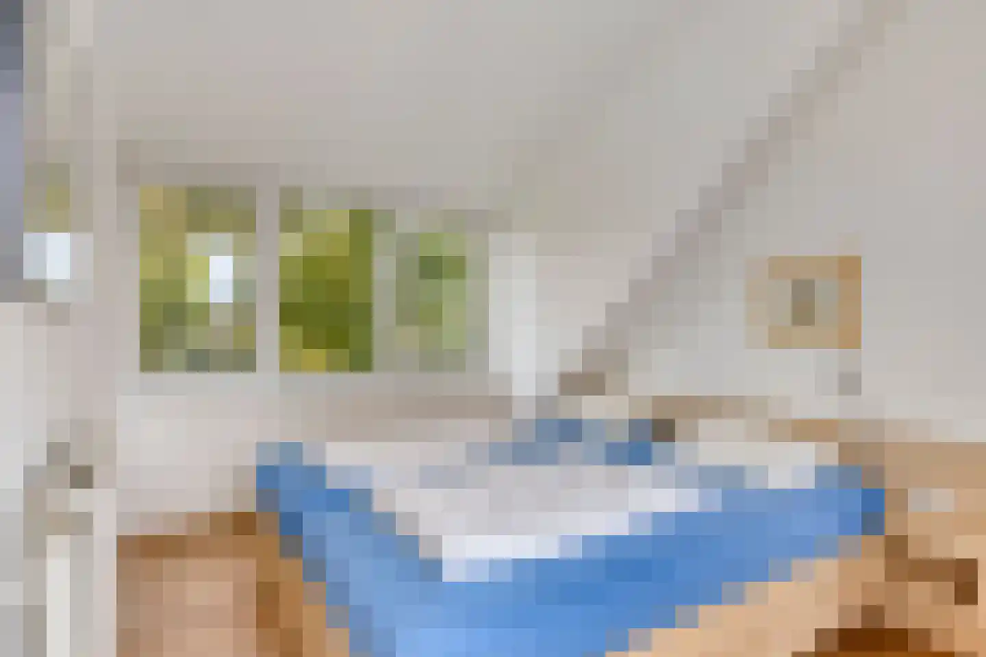 Hopman de Rijklaan 28 Vrouwenpolder thumbnail 26