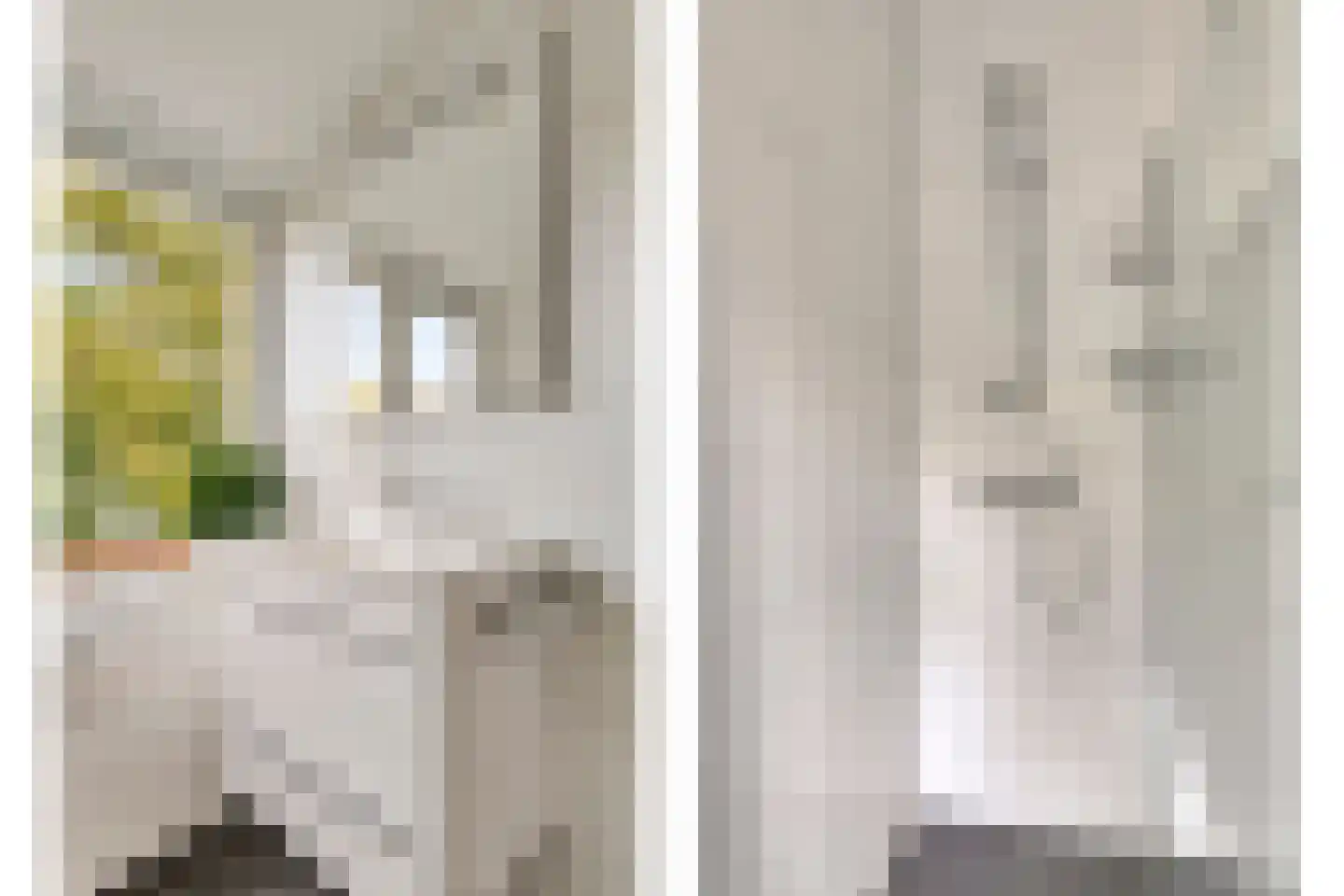 Hopman de Rijklaan 28 Vrouwenpolder thumbnail 29