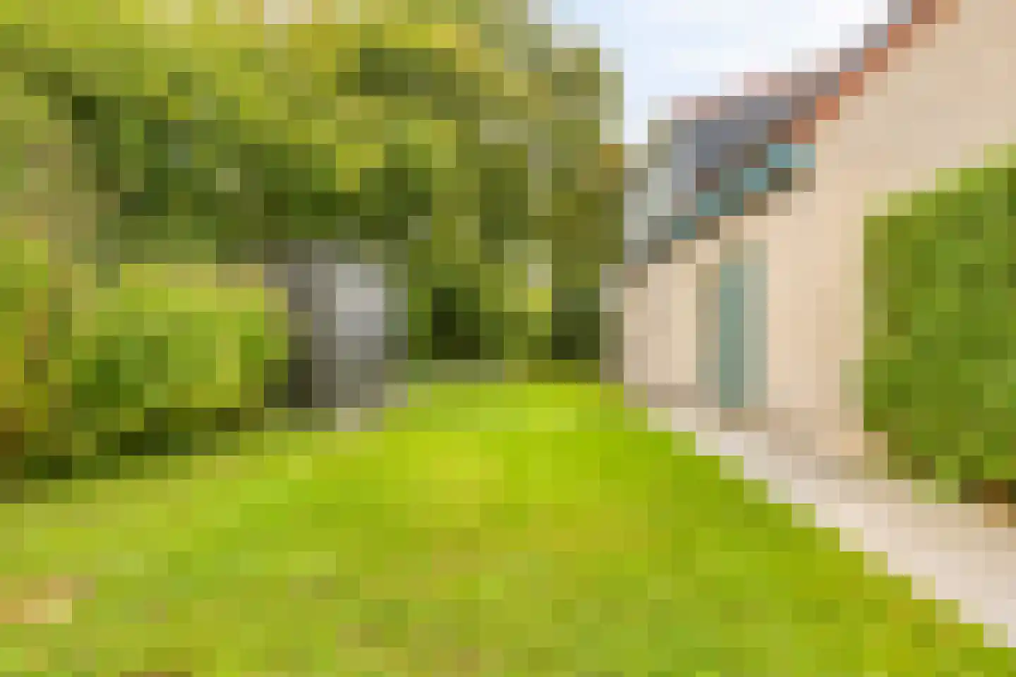 Hopman de Rijklaan 28 Vrouwenpolder thumbnail 34