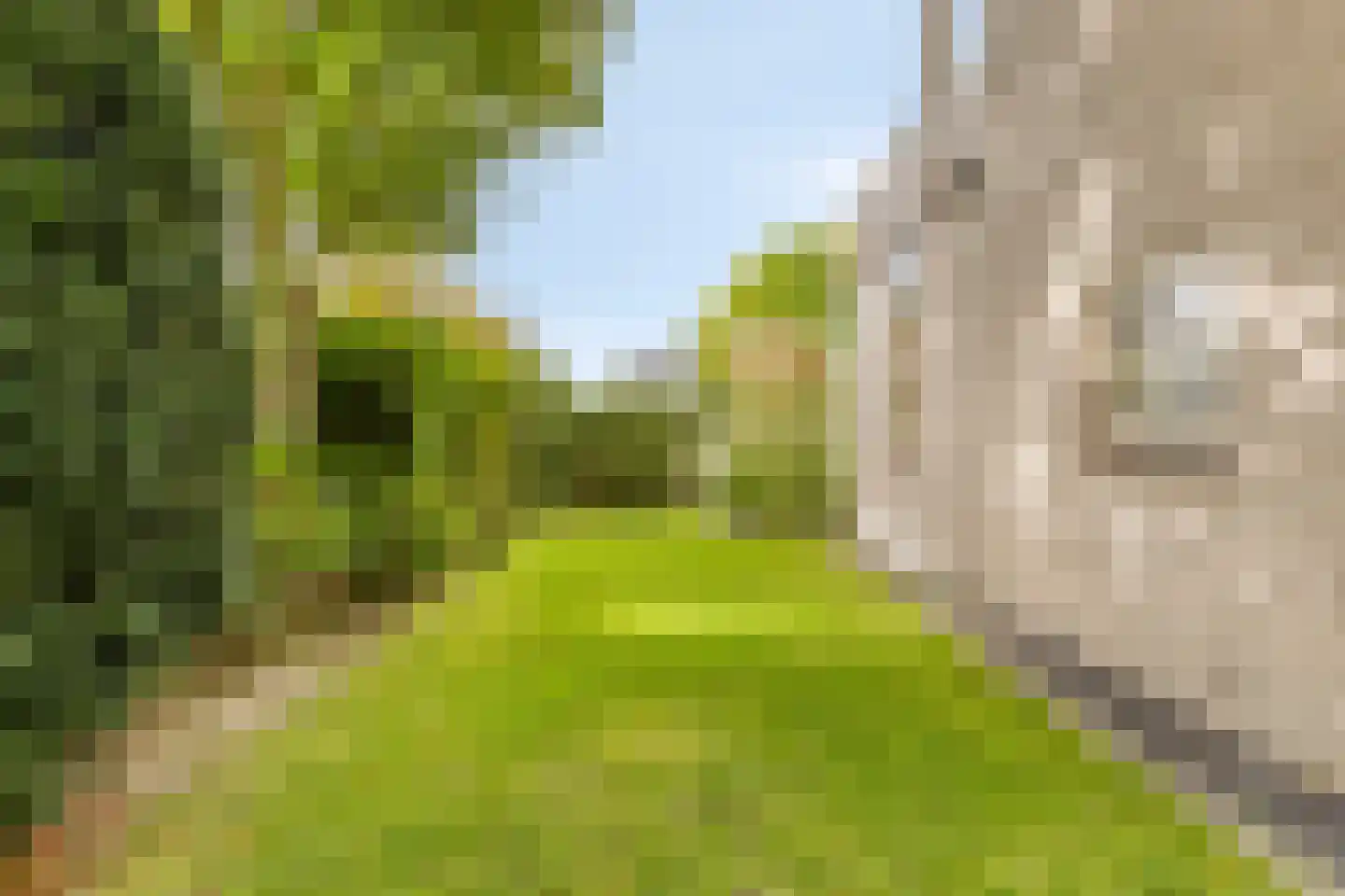 Hopman de Rijklaan 28 Vrouwenpolder thumbnail 35