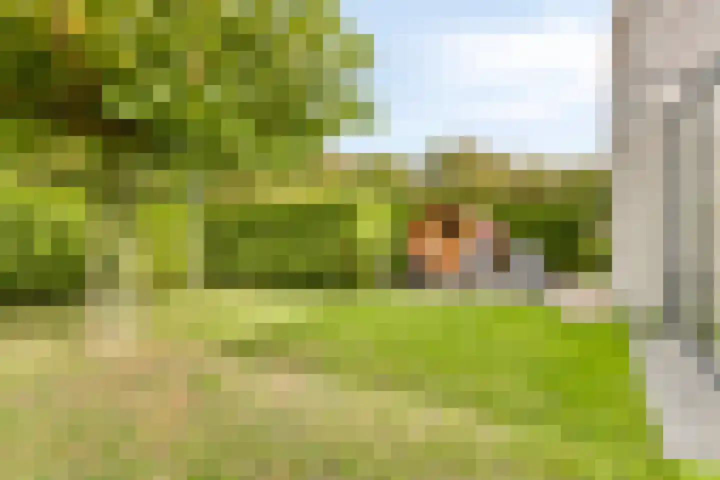 Hopman de Rijklaan 28 Vrouwenpolder thumbnail 39