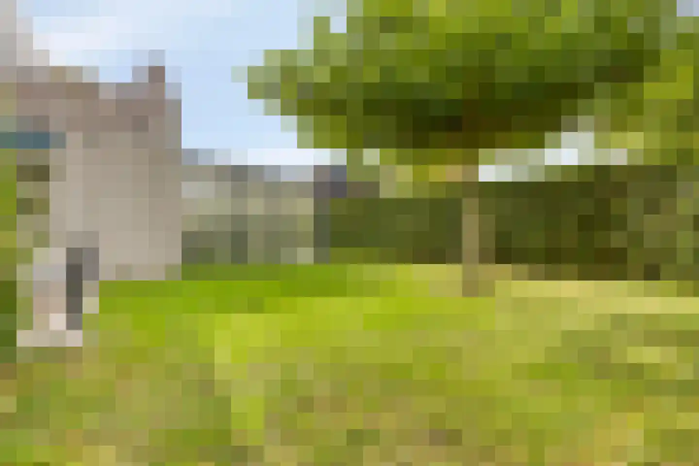 Hopman de Rijklaan 28 Vrouwenpolder thumbnail 40