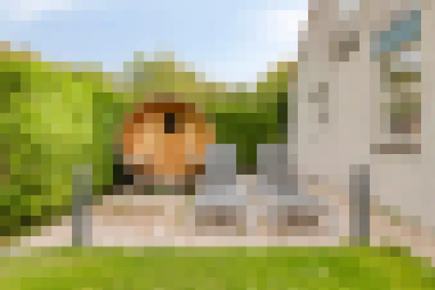 Hopman de Rijklaan 28 Vrouwenpolder thumbnail 41