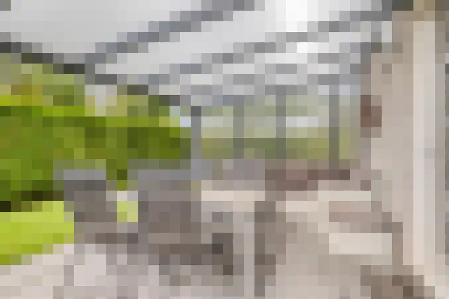 Hopman de Rijklaan 28 Vrouwenpolder thumbnail 43