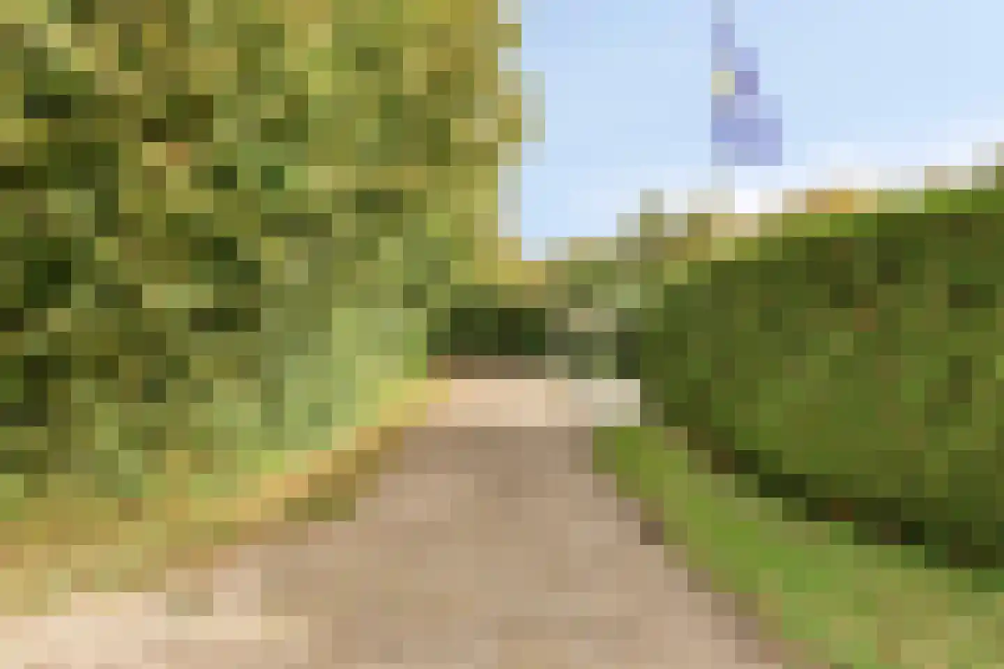 Hopman de Rijklaan 28 Vrouwenpolder thumbnail 6