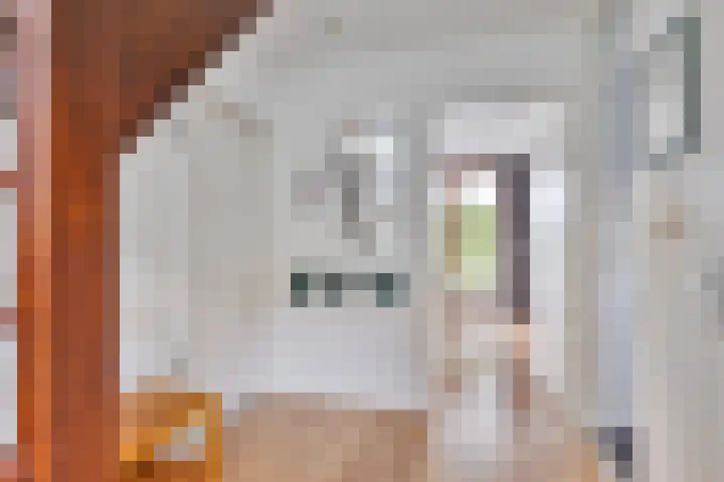 Hopman de Rijklaan 28 Vrouwenpolder thumbnail 9