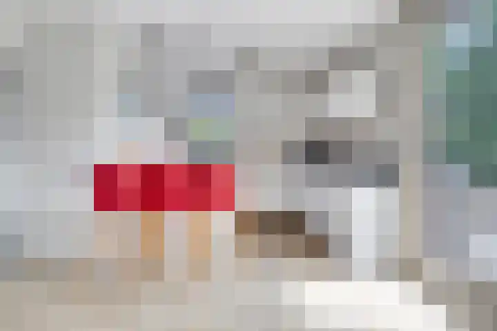 Hopman de Rijklaan 37 Vrouwenpolder thumbnail 14