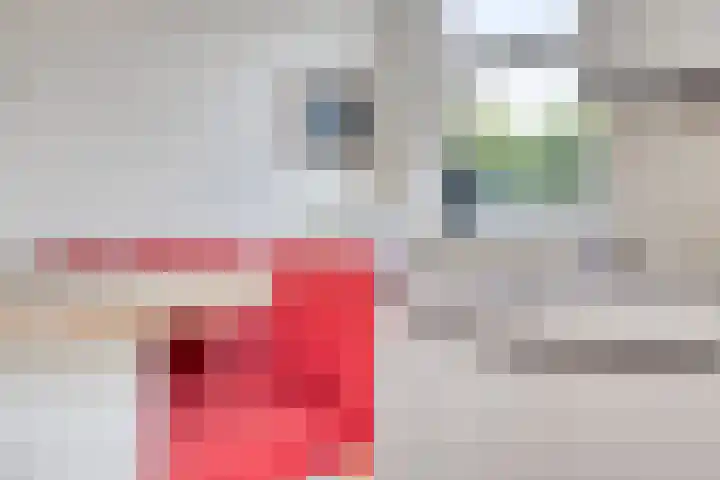 Hopman de Rijklaan 37 Vrouwenpolder thumbnail 15