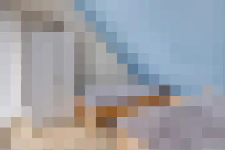 Hopman de Rijklaan 37 Vrouwenpolder thumbnail 22