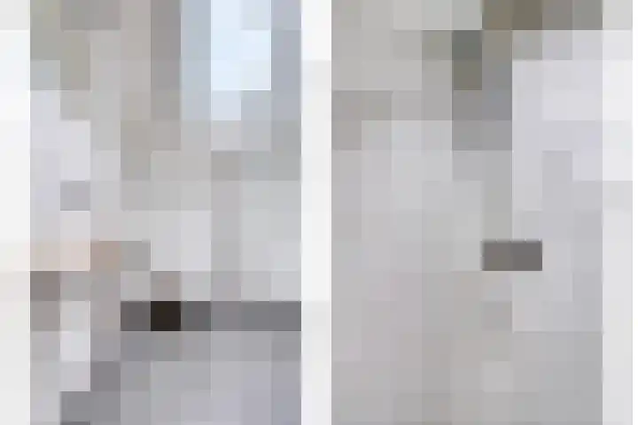 Hopman de Rijklaan 37 Vrouwenpolder thumbnail 25