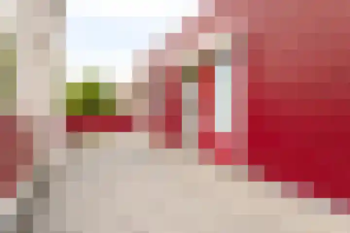 Hopman de Rijklaan 37 Vrouwenpolder thumbnail 27