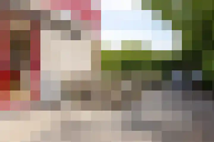 Hopman de Rijklaan 37 Vrouwenpolder thumbnail 28