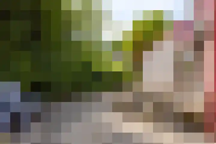 Hopman de Rijklaan 37 Vrouwenpolder thumbnail 29