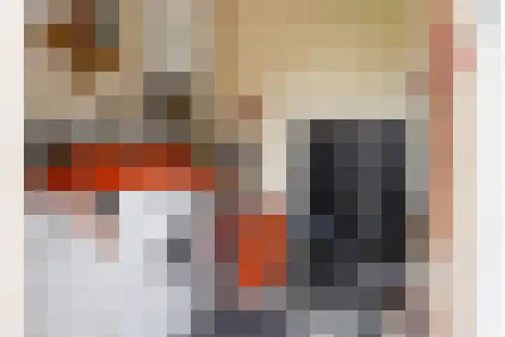 Hopman de Rijklaan 37 Vrouwenpolder thumbnail 30