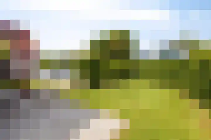 Hopman de Rijklaan 37 Vrouwenpolder thumbnail 31