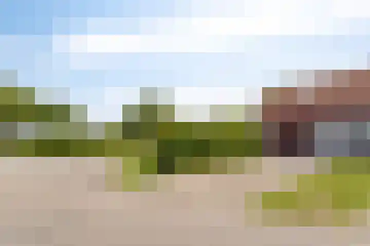 Hopman de Rijklaan 37 Vrouwenpolder thumbnail 32
