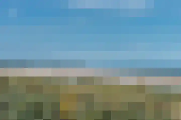 Hopman de Rijklaan 37 Vrouwenpolder thumbnail 35