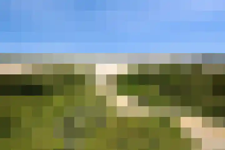 Hopman de Rijklaan 37 Vrouwenpolder thumbnail 38
