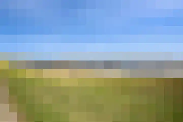 Hopman de Rijklaan 37 Vrouwenpolder thumbnail 39