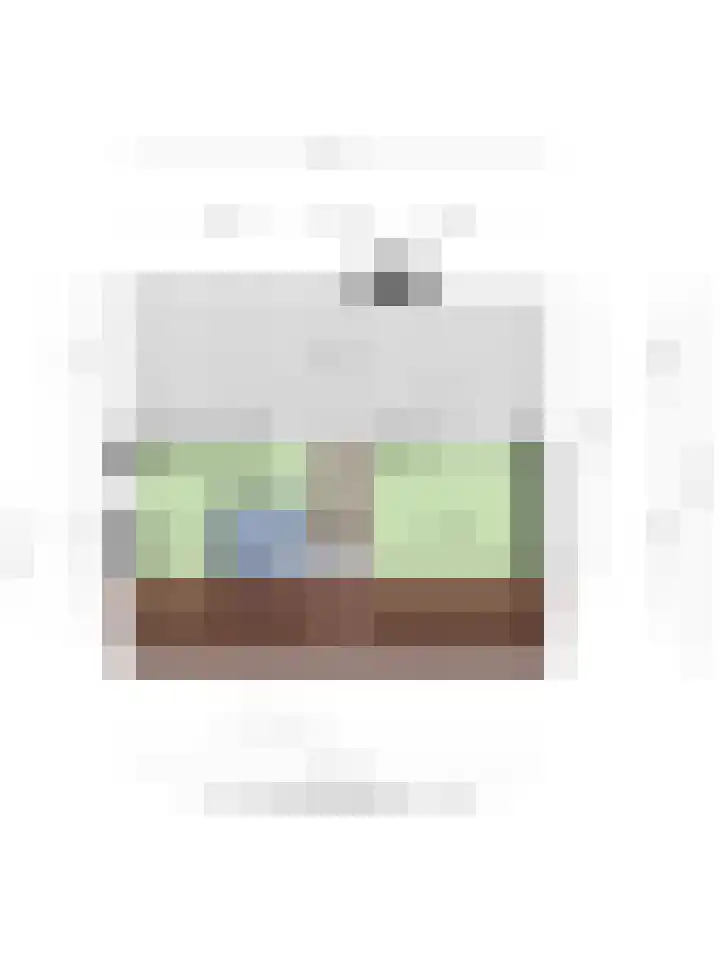 Hopman de Rijklaan 37 Vrouwenpolder thumbnail 41